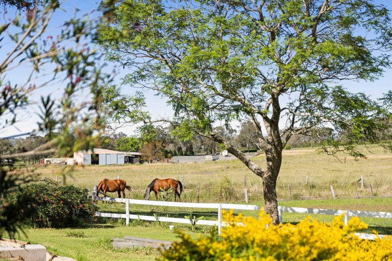 Photo - 49 Harelmar Road, Southbrook QLD 4363 - Image 16