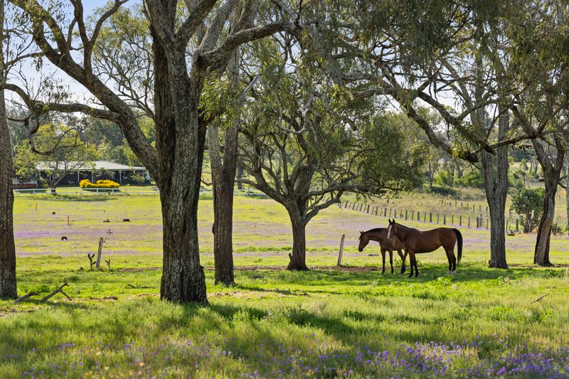 Photo - 49 Harelmar Road, Southbrook QLD 4363 - Image 20