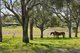 Photo - 49 Harelmar Road, Southbrook QLD 4363 - Image 20