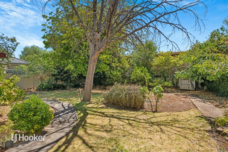 Photo - 49 Highfield Avenue, St Georges SA 5064 - Image 12