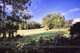 Photo - 49 Hilltop Parkway, Tallwoods Village NSW 2430 - Image 15