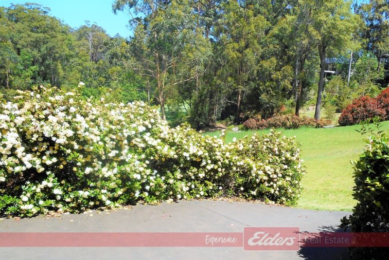 Photo - 49 Hilltop Parkway, Tallwoods Village NSW 2430 - Image 15