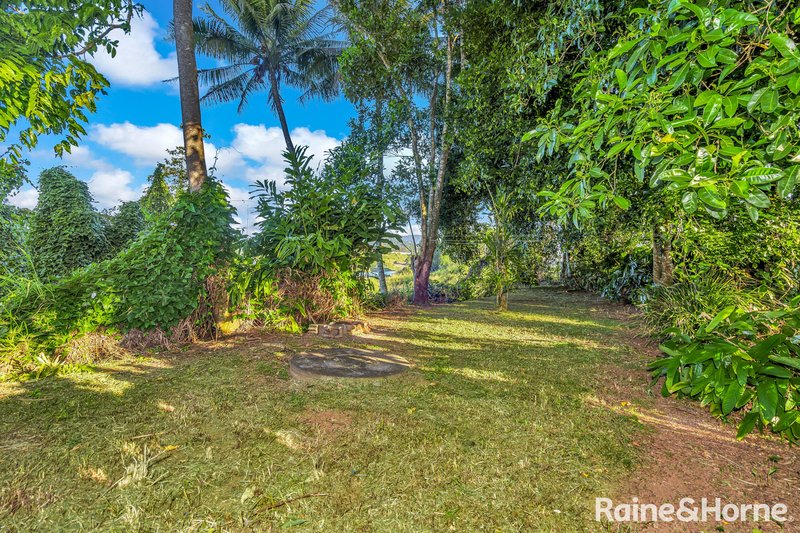 Photo - 49 Hynes Street, South Johnstone QLD 4859 - Image 12