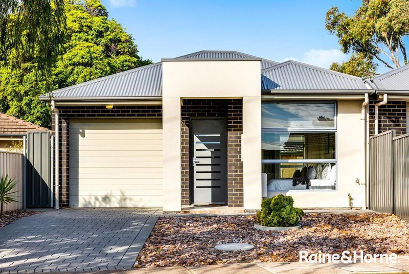 49 Johnstone Road, Oaklands Park SA 5046