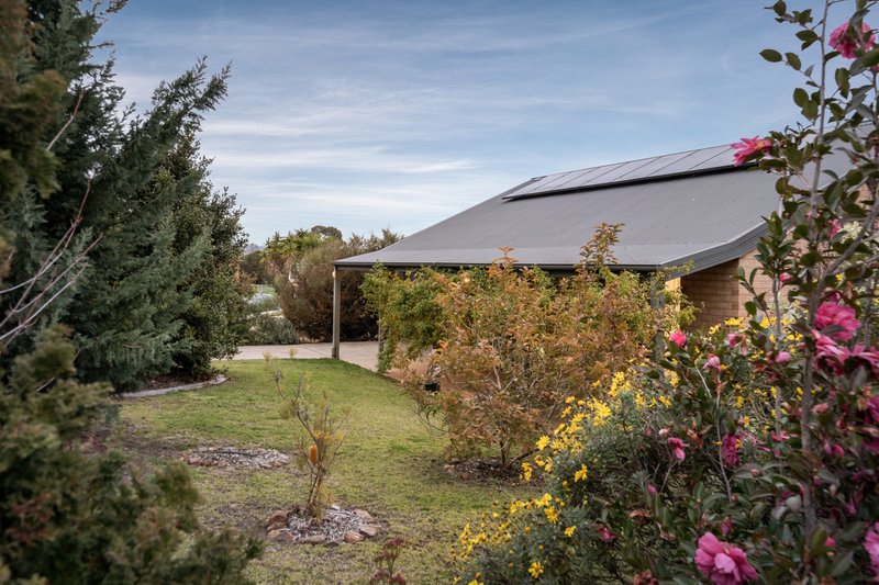 Photo - 49 Kurrajong Crescent, West Albury NSW 2640 - Image 32