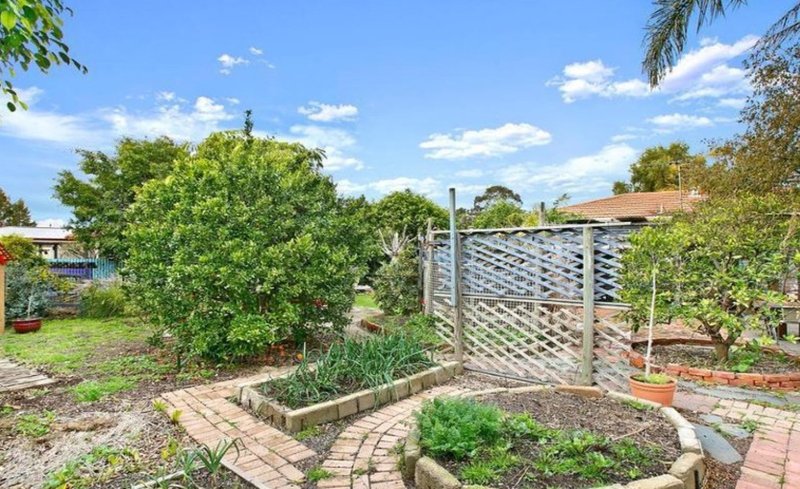 Photo - 49 Limbert Avenue, Seacombe Gardens SA 5047 - Image 2