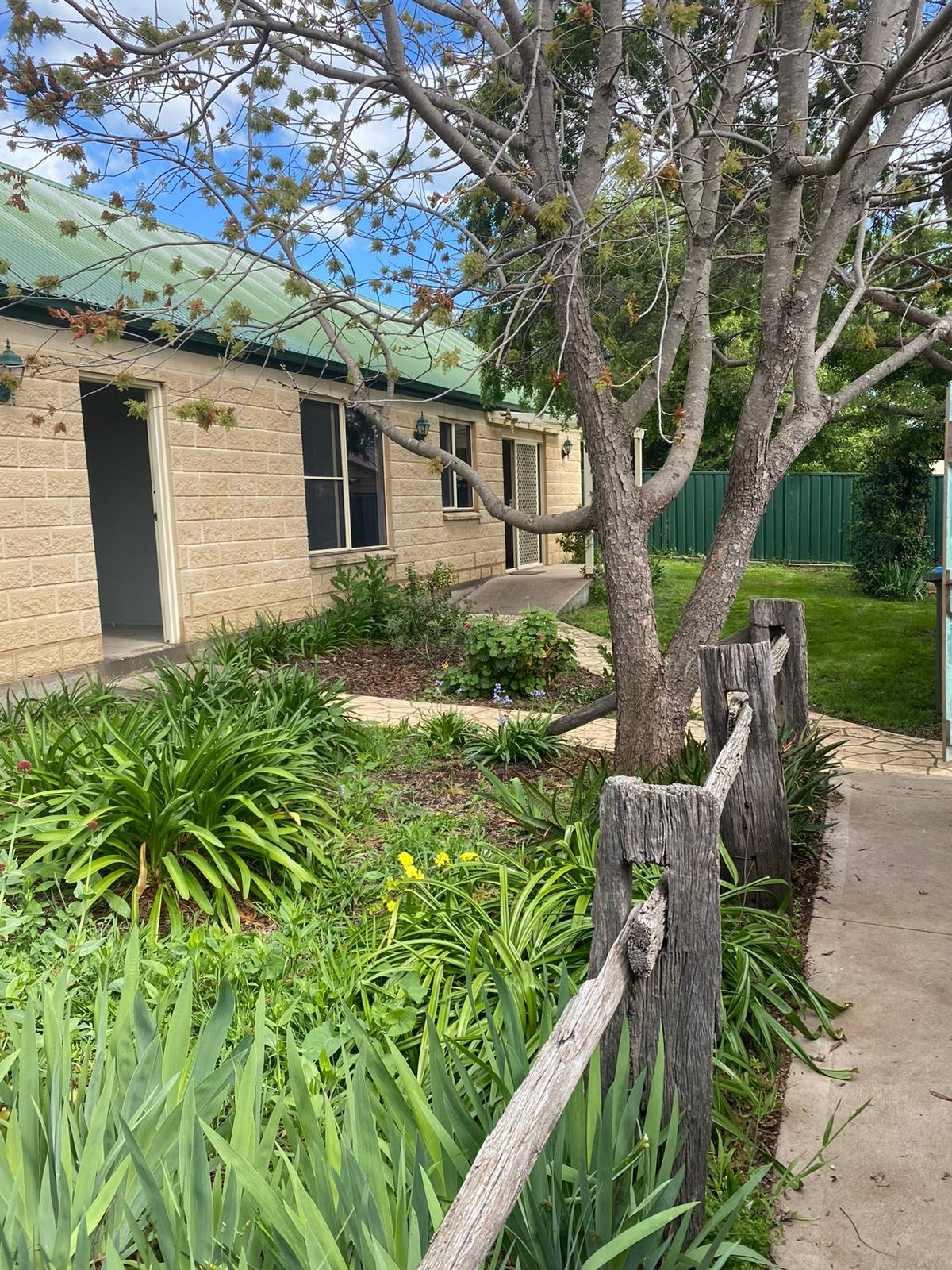 3-bedroom house at 49 MAYNE STREET, Gulgong NSW 2852, Mid-Western, New South Wales