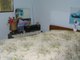 Photo - 49 Melbourne Street, Triabunna TAS 7190 - Image 9