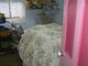 Photo - 49 Melbourne Street, Triabunna TAS 7190 - Image 17