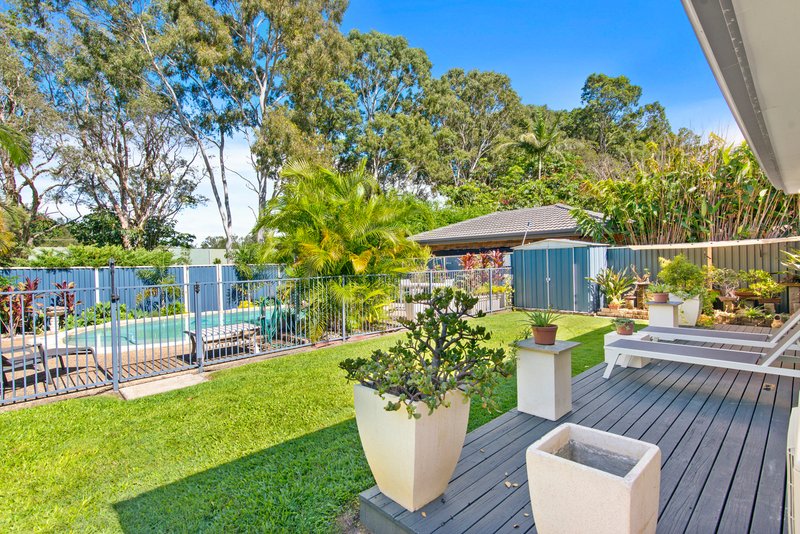 Photo - 49 Mitchell Avenue, Currumbin QLD 4223 - Image 3