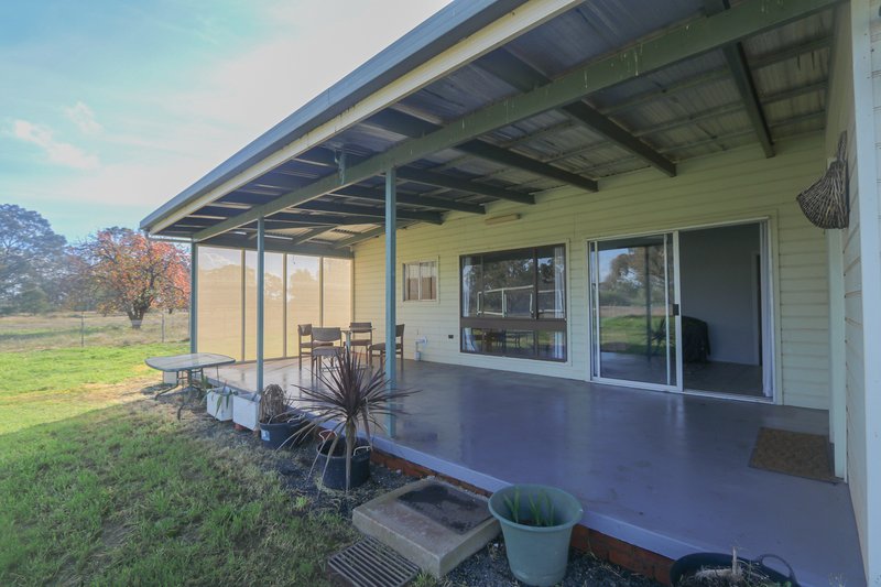 Photo - 49 Nicholson Lane, Wyalong NSW 2671 - Image 16