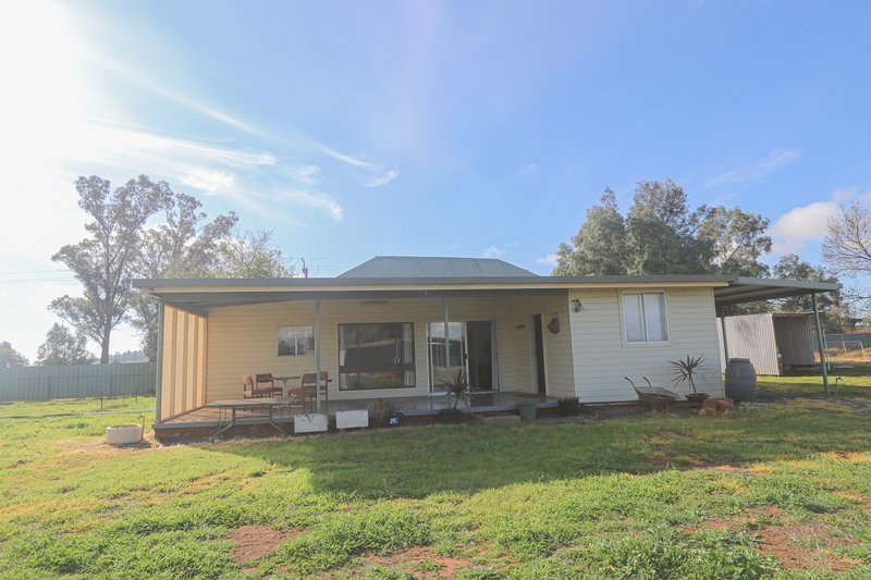 Photo - 49 Nicholson Lane, Wyalong NSW 2671 - Image 17