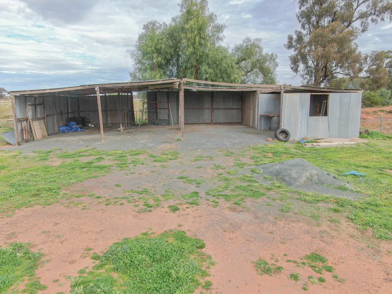 Photo - 49 Nicholson Lane, Wyalong NSW 2671 - Image 26