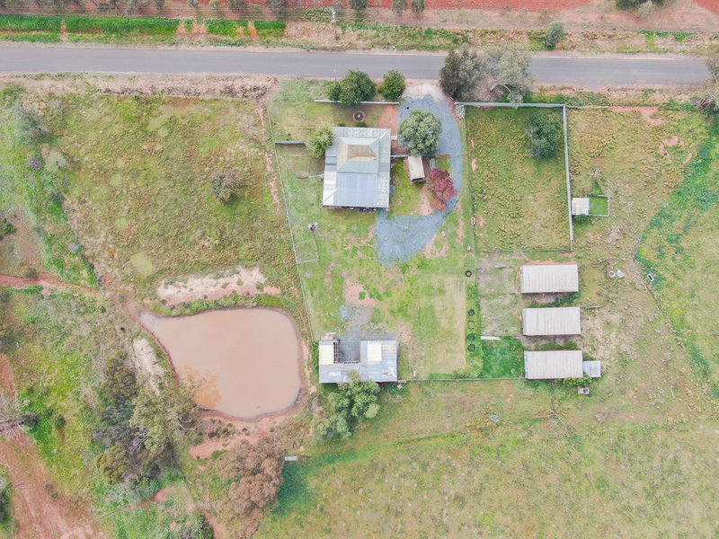 Photo - 49 Nicholson Lane, Wyalong NSW 2671 - Image 2