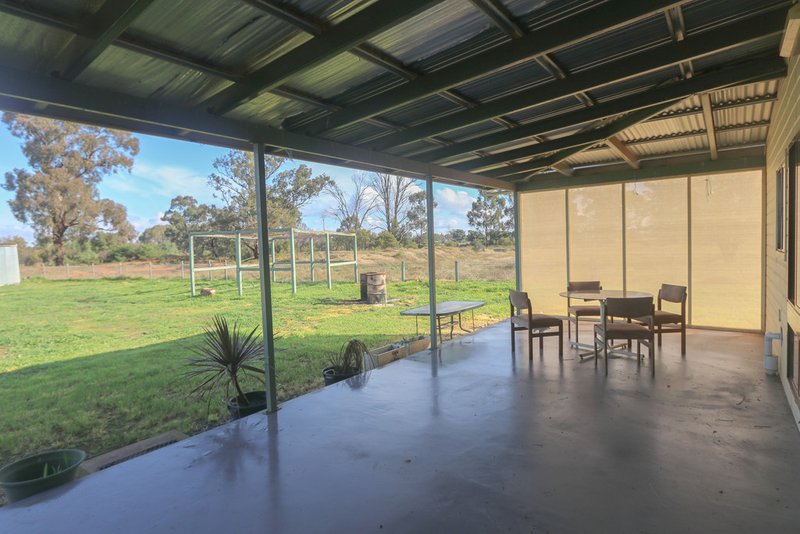 Photo - 49 Nicholson Lane, Wyalong NSW 2671 - Image 15