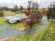 Photo - 49 Nicholson Lane, Wyalong NSW 2671 - Image 20