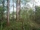 Photo - 49 Old Gympie Road, Yandina QLD 4561 - Image 3