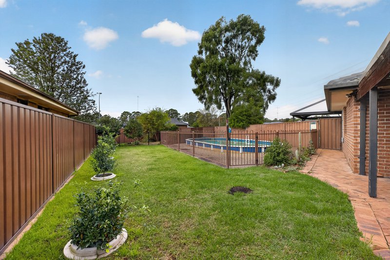 Photo - 49 Palomino Road, Emu Heights NSW 2750 - Image 20
