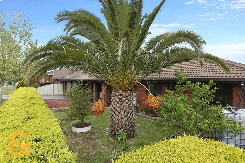 Photo - 49 Paringa Boulevard, Meadow Heights VIC 3048 - Image 12