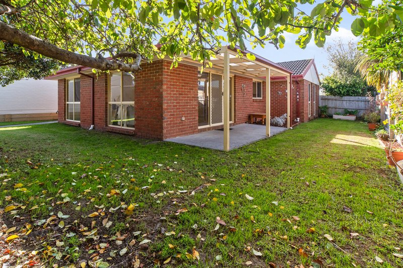 Photo - 49 Potts Road, Langwarrin VIC 3910 - Image 17