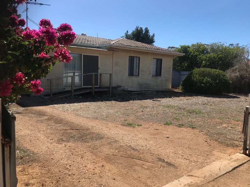 49 Railway Terrace North, Paskeville SA 5552