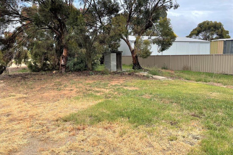 Photo - 49 Railway Terrace South, Lameroo SA 5302 - Image 8