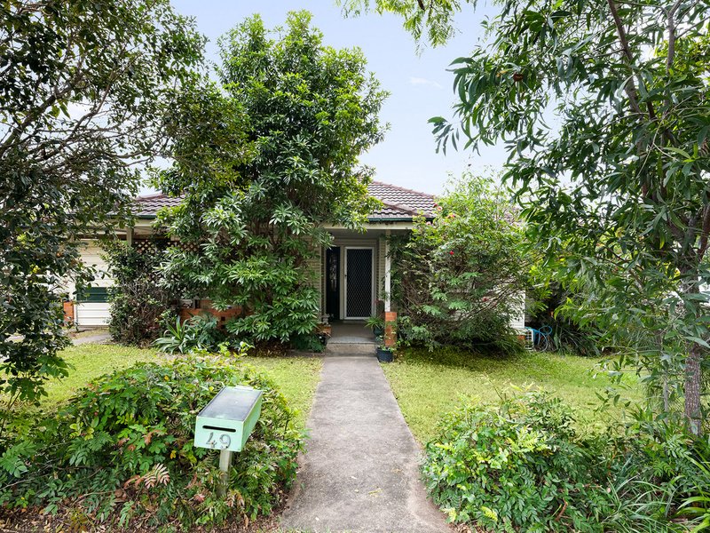 Photo - 49 Rhyndarra Street, Yeronga QLD 4104 - Image 17