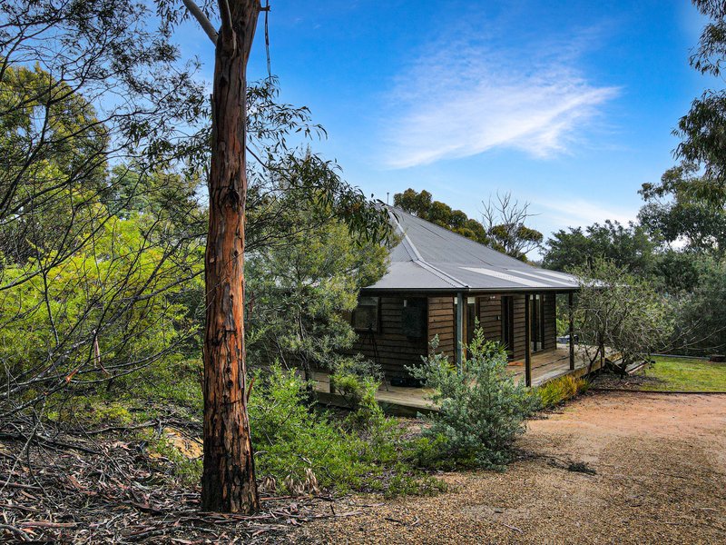 Photo - 49 Riverview Road, Scamander TAS 7215 - Image 5