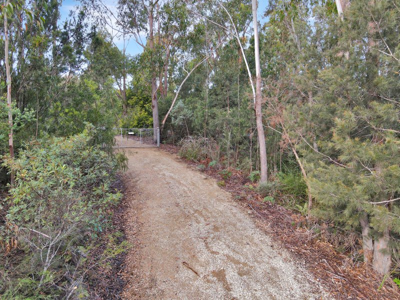 Photo - 49 Riverview Road, Scamander TAS 7215 - Image 31