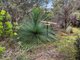 Photo - 49 Riverview Road, Scamander TAS 7215 - Image 33