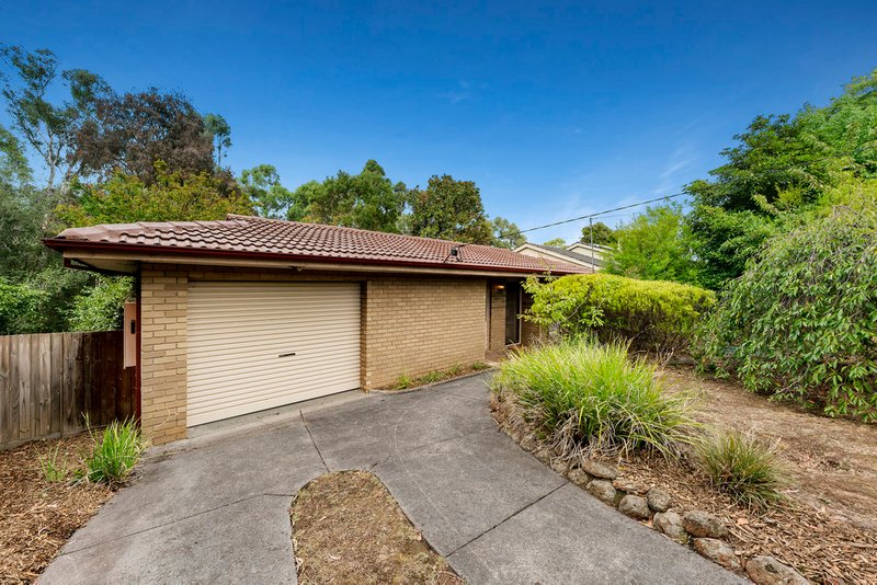 49 Sonia Street, Ringwood VIC 3134