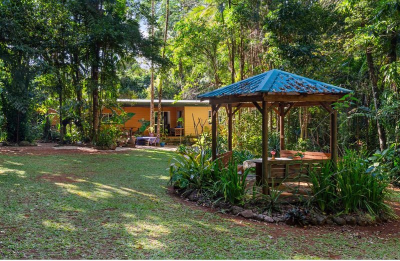 49 Spandley Road, Camp Creek QLD 4871