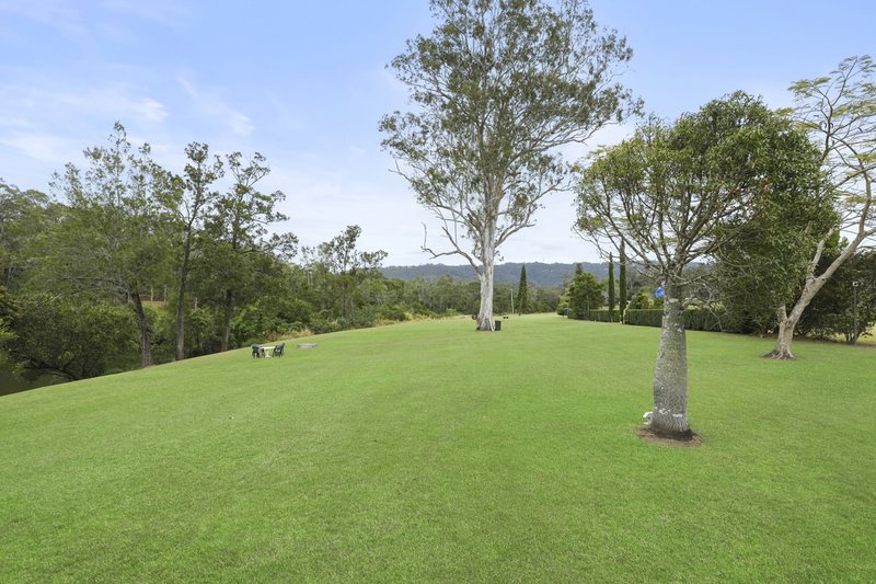Photo - 49 Stewart Road, Guanaba QLD 4210 - Image 6