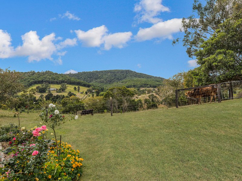 Photo - 49 Stokes Road, Pine Mountain QLD 4306 - Image 8