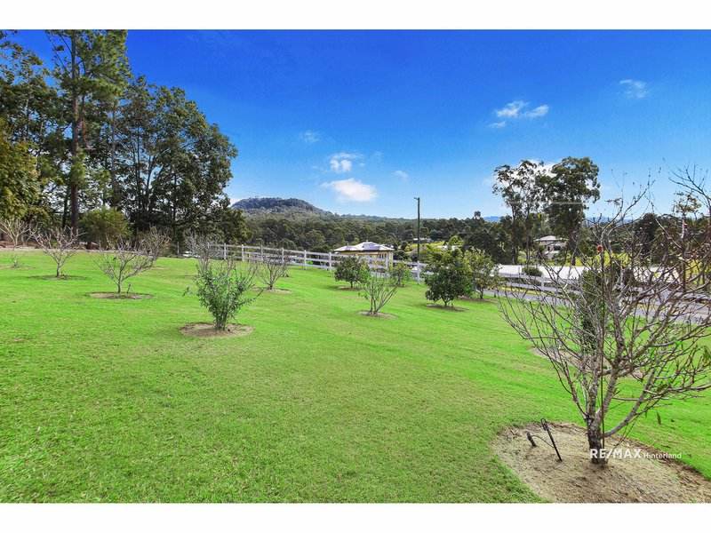 Photo - 49 Strawberry Road, Beerwah QLD 4519 - Image 3