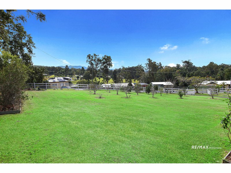 Photo - 49 Strawberry Road, Beerwah QLD 4519 - Image 5