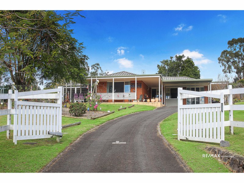 Photo - 49 Strawberry Road, Beerwah QLD 4519 - Image 22