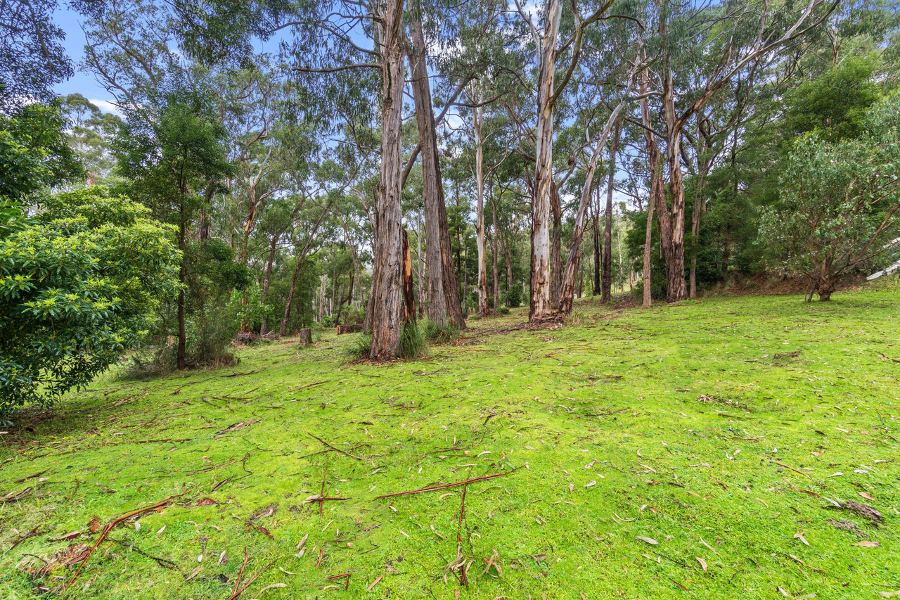 4-bedroom house at 49 Stringybark Track, Jeeralang Junction, VIC 3840, , Victoria