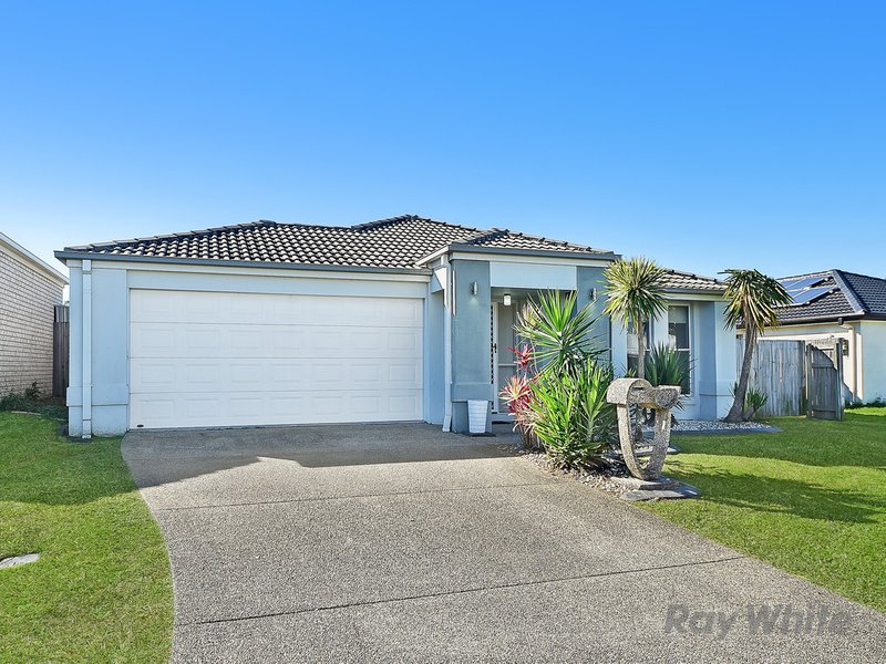 Photo - 49 Strowe Place, Bracken Ridge QLD 4017 - Image 17