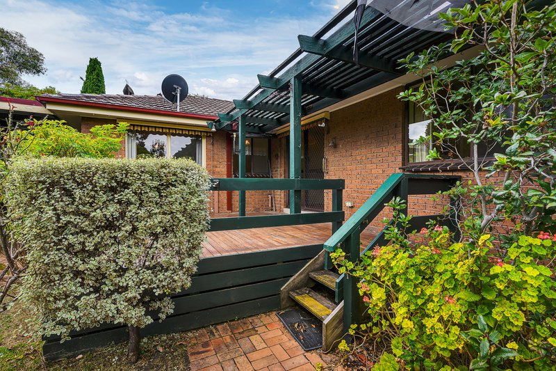 Photo - 49 Stuart Street, The Basin VIC 3154 - Image 12