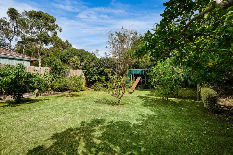 Photo - 49 Stuart Street, The Basin VIC 3154 - Image 15