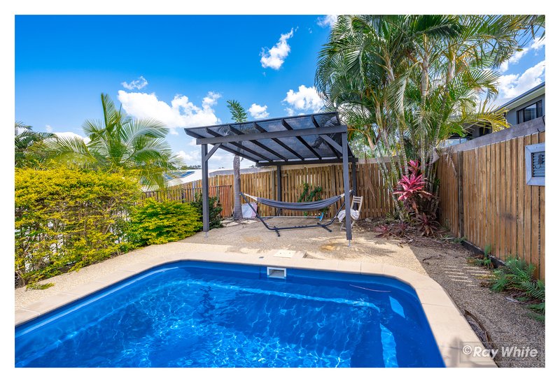 Photo - 49 Sunset Drive, Norman Gardens QLD 4701 - Image 31