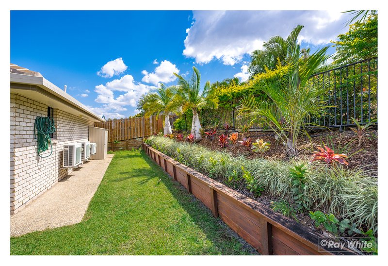 Photo - 49 Sunset Drive, Norman Gardens QLD 4701 - Image 35