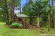 Photo - 49 Timbara Road, Pomona QLD 4568 - Image 12