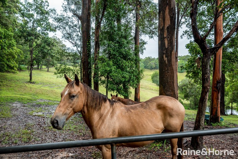 Photo - 49 Timbara Road, Pomona QLD 4568 - Image 14