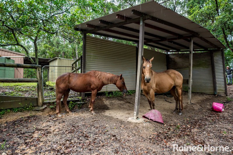 Photo - 49 Timbara Road, Pomona QLD 4568 - Image 15