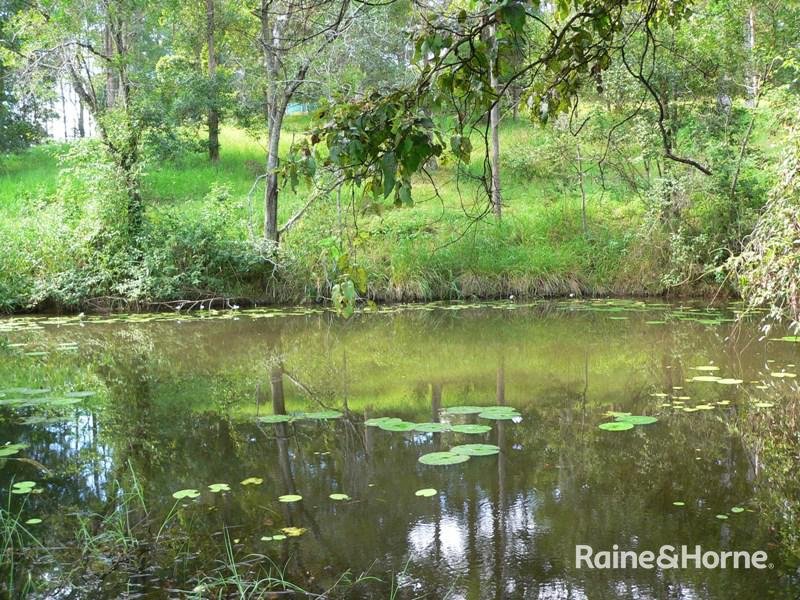 Photo - 49 Timbara Road, Pomona QLD 4568 - Image 18