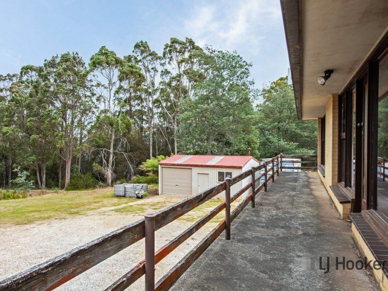 Photo - 49 Twiss Street North, Latrobe TAS 7307 - Image 3