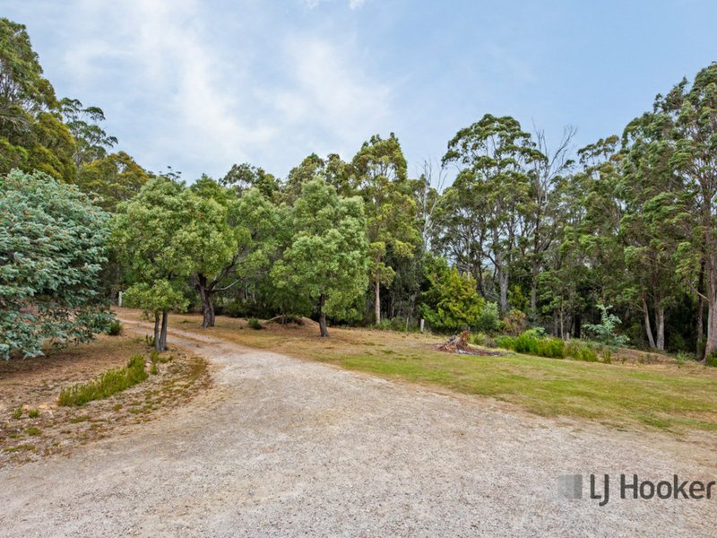 Photo - 49 Twiss Street North, Latrobe TAS 7307 - Image 11