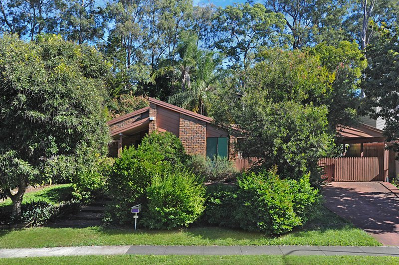 Photo - 49 Yingally Drive, Arana Hills QLD 4054 - Image 8